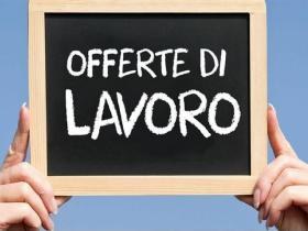 Sportello lavoro, le offerte di impiego attive sul territorio a Dicembre